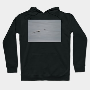 Gliding Hoodie